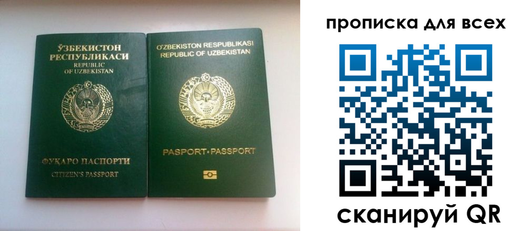 прописка для школы в Реутове